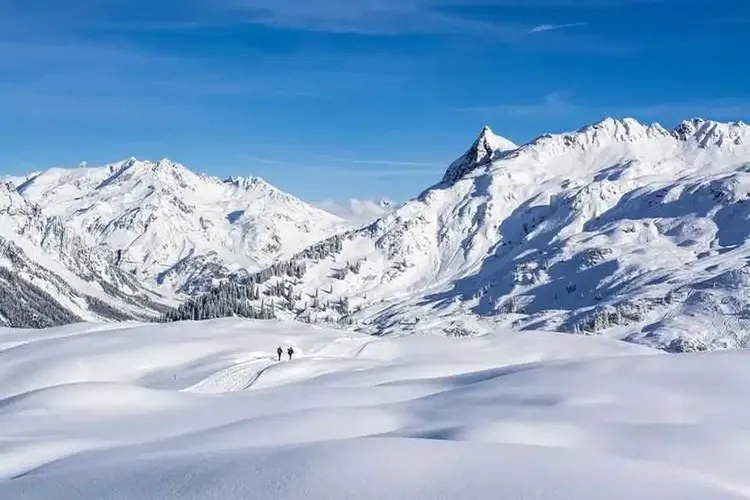 Single Vorarlberg